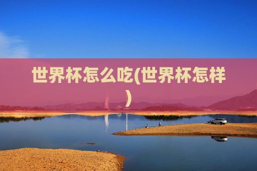 世界杯怎么吃(世界杯怎样)