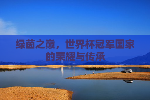 绿茵之巅,世界杯冠军国家的荣耀与传承
