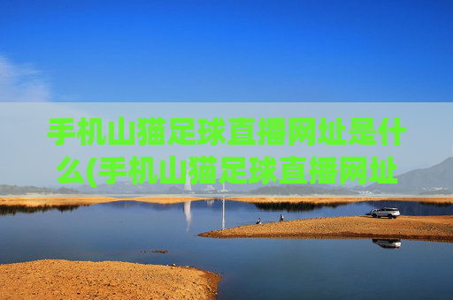 手机山猫足球直播网址是什么(手机山猫足球直播网址是什么啊)