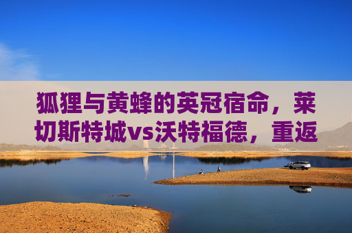 狐狸与黄蜂的英冠宿命,莱切斯特城vs沃特福德,重返之路的激烈碰撞,莱切斯特城与沃特福德,英冠重返之路的狐狸与黄蜂对决