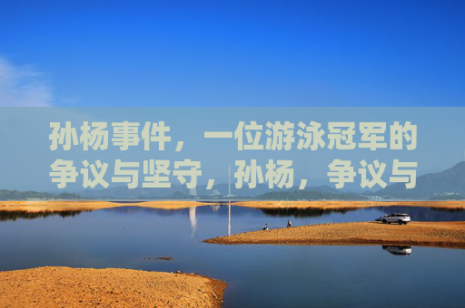 孙杨事件，一位游泳冠军的争议与坚守，孙杨，争议与坚守的冠军之路