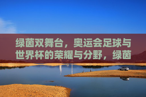 绿茵双舞台,奥运会足球与世界杯的荣耀与分野,绿茵双舞台,奥运足球与世界杯的荣耀分野