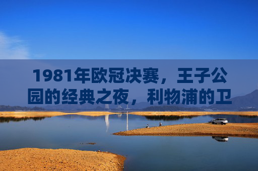 1981年欧冠决赛，王子公园的经典之夜，利物浦的卫冕传奇，1981年王子公园经典夜，利物浦欧冠卫冕传奇