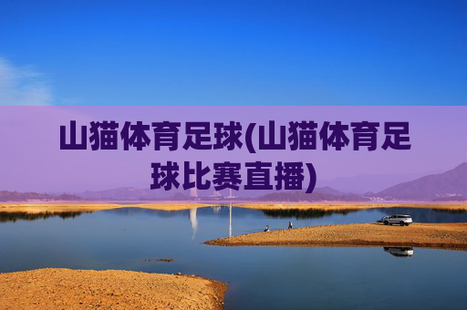 山猫体育足球(山猫体育足球比赛直播)