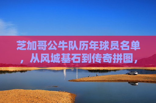 芝加哥公牛队历年球员名单,从风城基石到传奇拼图,芝加哥公牛队历年球员名单,风城基石到传奇拼图