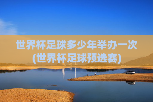 世界杯足球多少年举办一次(世界杯足球预选赛)