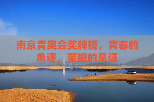 南京青奥会奖牌榜,青春的角逐,荣耀的见证