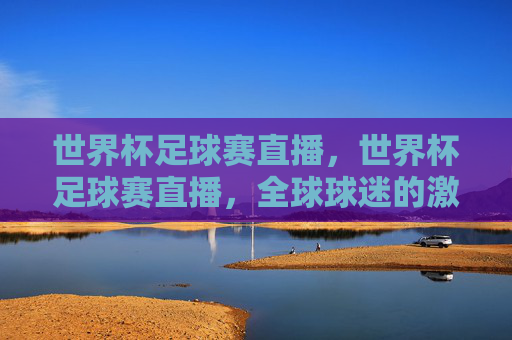 世界杯足球赛直播，世界杯足球赛直播，全球球迷的激情盛宴