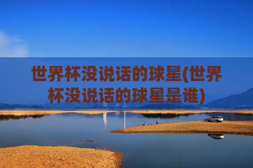世界杯没说话的球星(世界杯没说话的球星是谁)