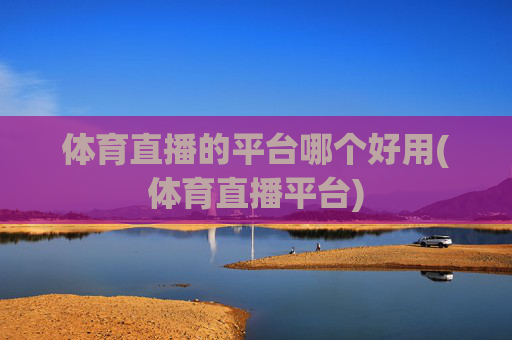 体育直播的平台哪个好用(体育直播平台)