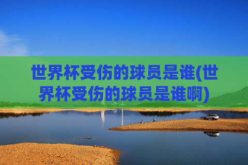 世界杯受伤的球员是谁(世界杯受伤的球员是谁啊)