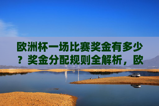 欧洲杯一场比赛奖金有多少?奖金分配规则全解析,欧洲杯单场奖金分配规则全解析