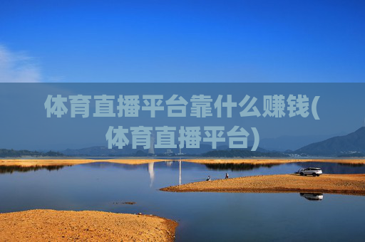 体育直播平台靠什么赚钱(体育直播平台)