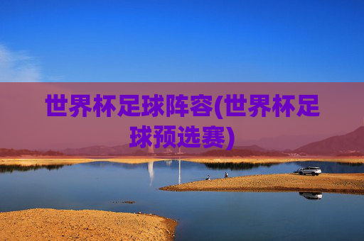 世界杯足球阵容(世界杯足球预选赛)