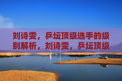 刘诗雯,乒坛顶级选手的级别解析,刘诗雯,乒坛顶级选手级别解析