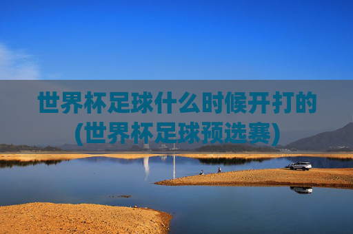 世界杯足球什么时候开打的(世界杯足球预选赛)