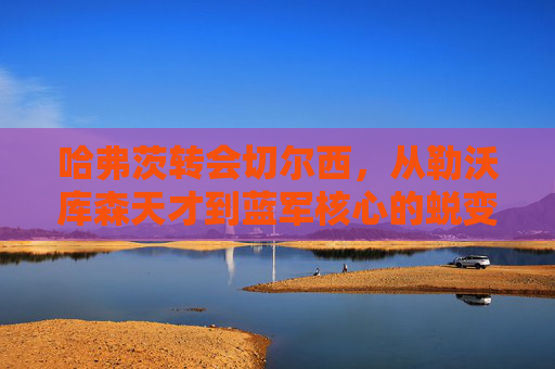 哈弗茨转会切尔西,从勒沃库森天才到蓝军核心的蜕变之路,哈弗茨转会切尔西,从勒沃库森天才到蓝军核心的蜕变