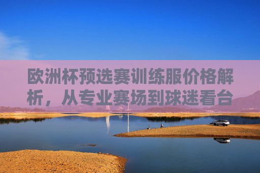 欧洲杯预选赛训练服价格解析,从专业赛场到球迷看台,差异有多大?从赛场到看台,欧洲杯预选赛训练服价格差异解析