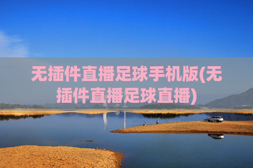 无插件直播足球手机版(无插件直播足球直播)