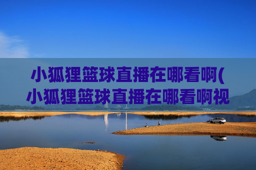 小狐狸篮球直播在哪看啊(小狐狸篮球直播在哪看啊视频)