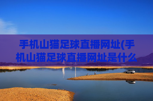 手机山猫足球直播网址(手机山猫足球直播网址是什么)