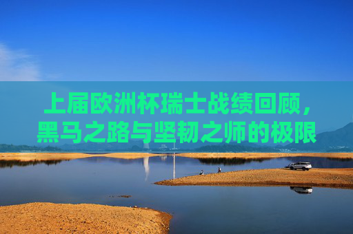 上届欧洲杯瑞士战绩回顾，黑马之路与坚韧之师的极限冲锋，上届欧洲杯黑马征程，瑞士坚韧之师的极限冲锋