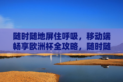 随时随地屏住呼吸,移动端畅享欧洲杯全攻略,随时随地屏住呼吸,移动端欧洲杯全攻略
