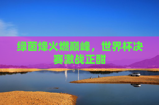 绿茵烽火燃巅峰,世界杯决赛激战正酣