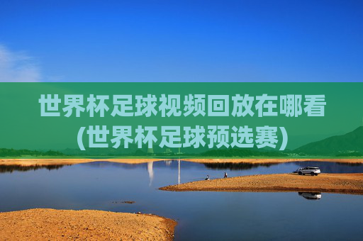 世界杯足球视频回放在哪看(世界杯足球预选赛)