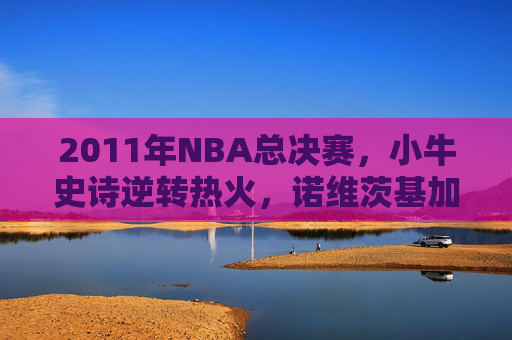 2011年NBA总决赛,小牛史诗逆转热火,诺维茨基加冕传奇FMVP,2011年总决赛,小牛史诗逆转热火,诺维茨基加冕传奇FMVP