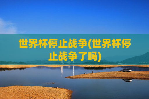 世界杯停止战争(世界杯停止战争了吗)