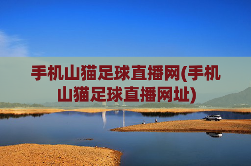手机山猫足球直播网(手机山猫足球直播网址)