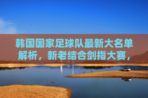 韩国国家足球队最新大名单解析，新老结合剑指大赛，孙兴慜领衔战亚洲之巅，韩国队最新大名单，孙兴慜领衔新老结合剑指亚洲之巅