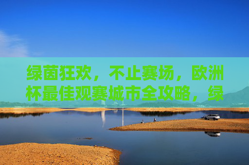 绿茵狂欢,不止赛场,欧洲杯最佳观赛城市全攻略,绿茵狂欢欧洲杯,最佳观赛城市全攻略