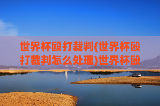 世界杯殴打裁判(世界杯殴打裁判怎么处理)世界杯殴打裁判