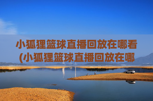 小狐狸篮球直播回放在哪看(小狐狸篮球直播回放在哪看啊)
