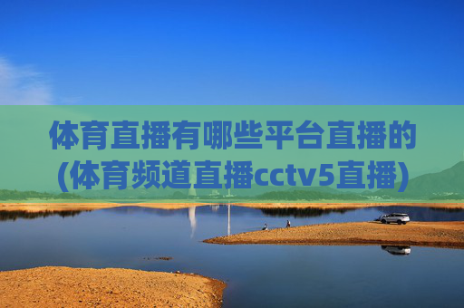 体育直播有哪些平台直播的(体育频道直播cctv5直播)