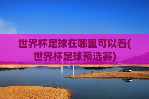 世界杯足球在哪里可以看(世界杯足球预选赛)