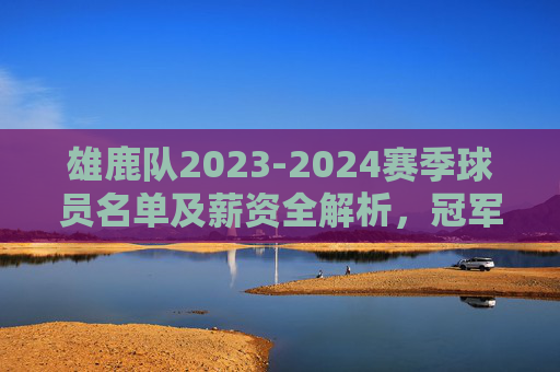雄鹿队2023-2024赛季球员名单及薪资全解析，冠军拼图与薪资结构的平衡之道，雄鹿2023-2024赛季球员名单薪资全解析，冠军拼图与薪资结构平衡之道