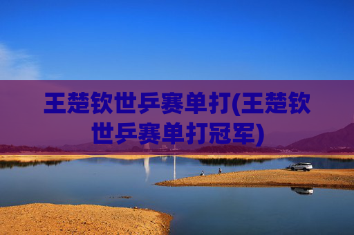 王楚钦世乒赛单打(王楚钦世乒赛单打冠军)