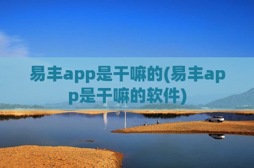 易丰app是干嘛的(易丰app是干嘛的软件)