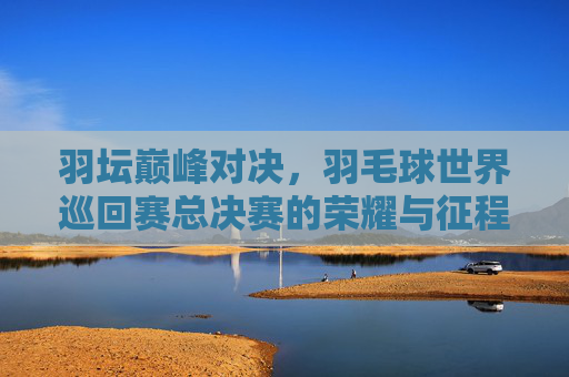 羽坛巅峰对决,羽毛球世界巡回赛总决赛的荣耀与征程,羽坛巅峰对决,羽毛球世界巡回赛总决赛荣耀征程