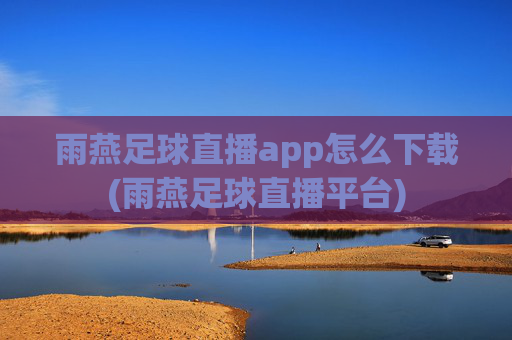 雨燕足球直播app怎么下载(雨燕足球直播平台)
