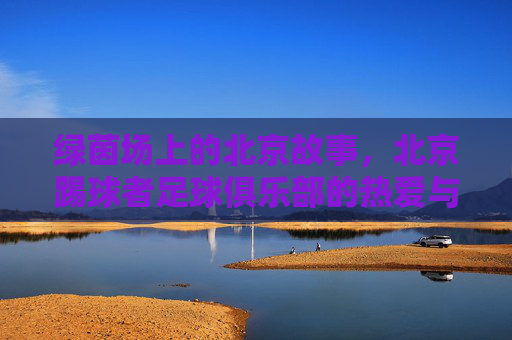绿茵场上的北京故事,北京踢球者足球俱乐部的热爱与坚守,北京踢球者,绿茵场上的热爱与坚守