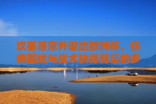 坎塞洛意外退出欧洲杯,伤病困扰与战术抉择背后的多重因素,坎塞洛意外退出欧洲杯,伤病困扰与战术抉择