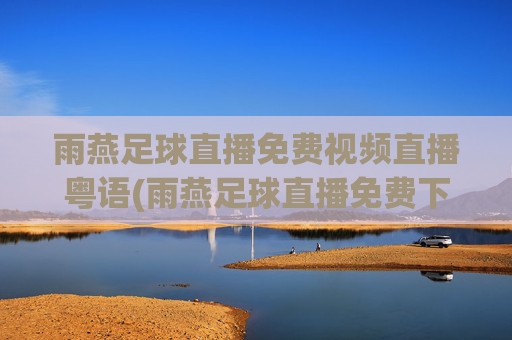 雨燕足球直播免费视频直播粤语(雨燕足球直播免费下载)