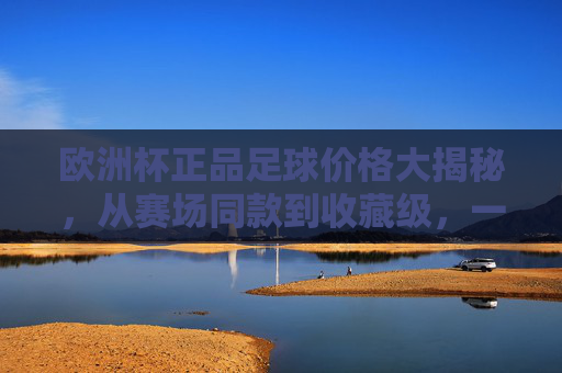 欧洲杯正品足球价格大揭秘,从赛场同款到收藏级,一支要花多少钱?