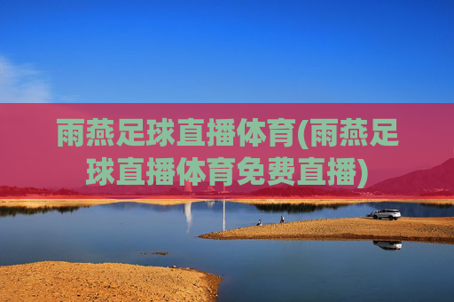 雨燕足球直播体育(雨燕足球直播体育免费直播)