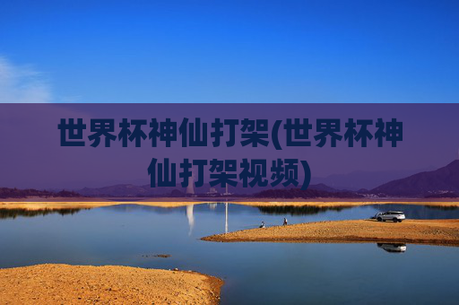 世界杯神仙打架(世界杯神仙打架视频)