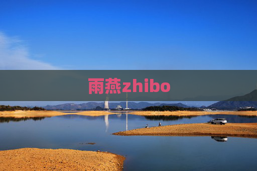 雨燕zhibo